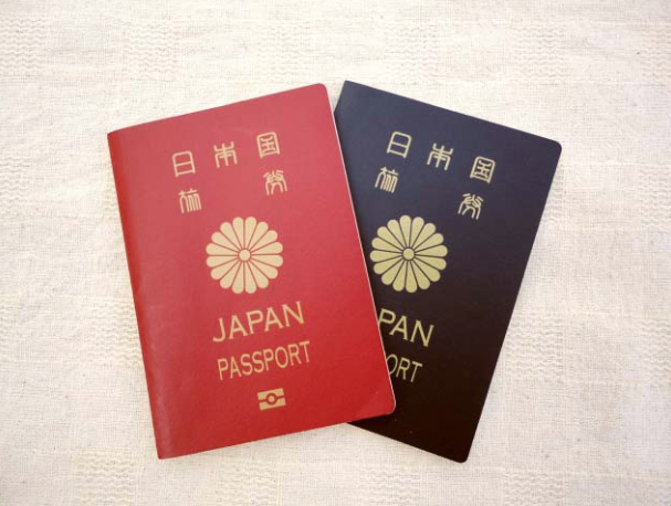 Business Manager Visa